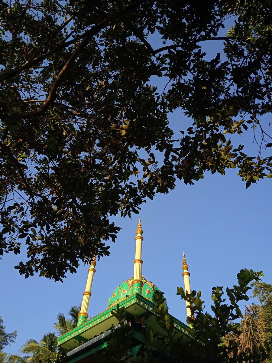 ataa🧺 tweet media