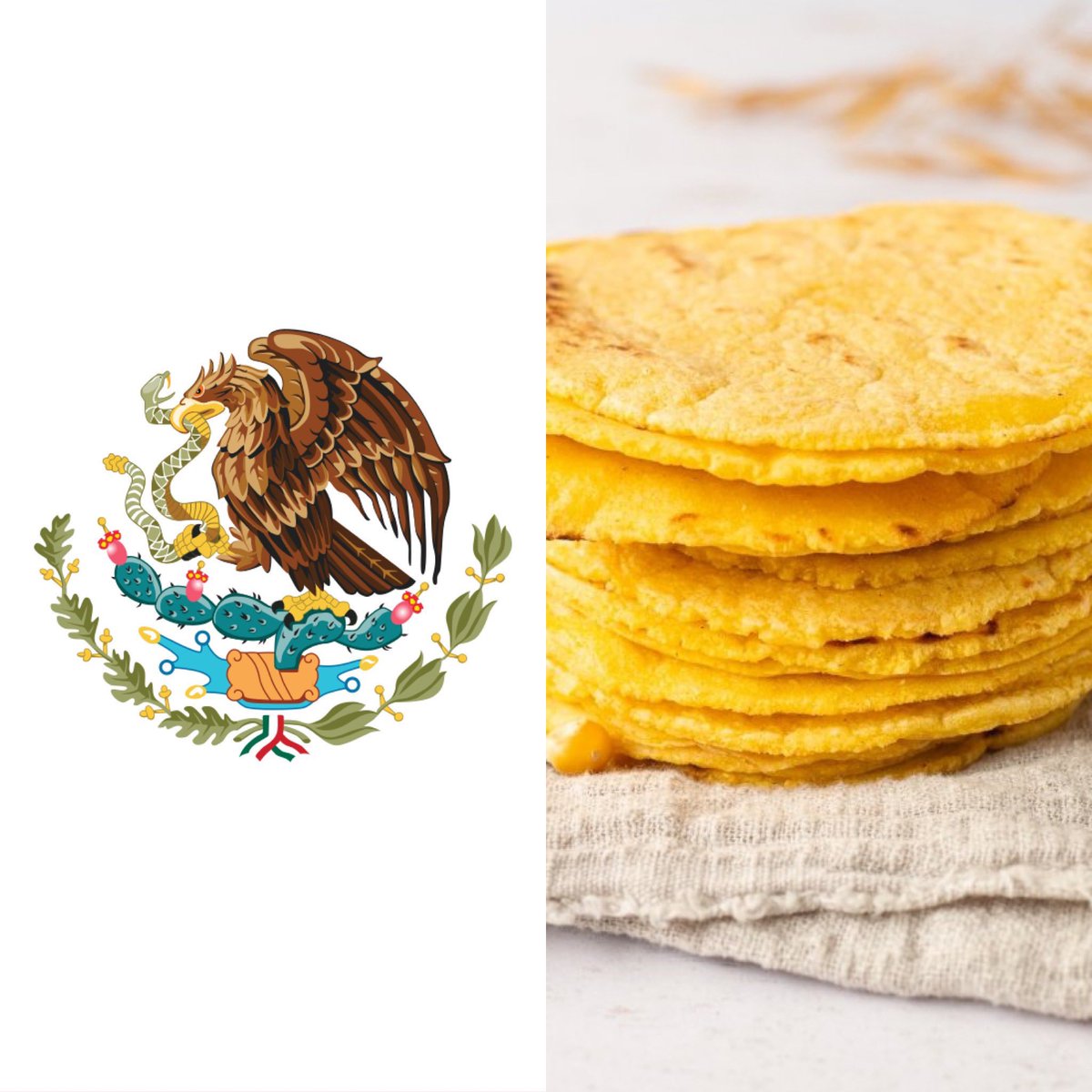 politicazmx's tweet image. #NOTICIA | 🔴 Debido al encarecimiento de las materias primas, se prevé que el costo de la tortilla suba hasta 4 pesos a partir del próximo 15 de abril.