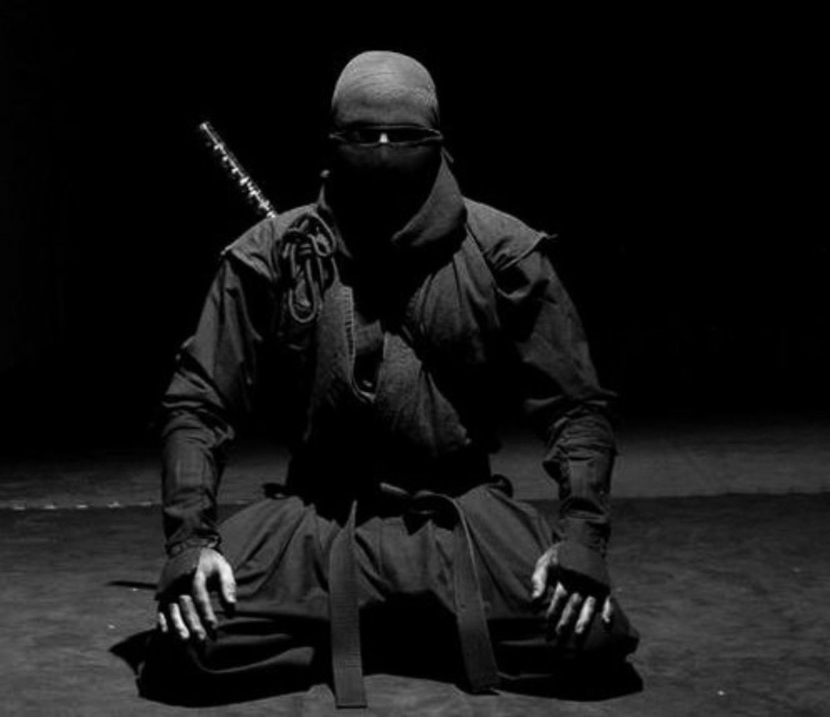 Rozay || Bodhi 🥷 tweet media