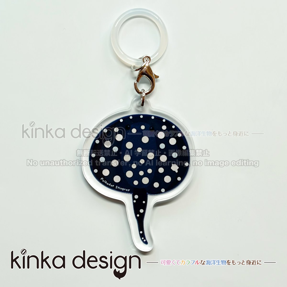 イルカちゃん🐬（キタムラアイ）→デザイナー＆海洋生物専門イラストレーター tweet media