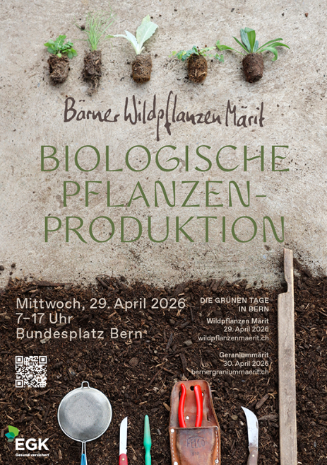 _IBWD's tweet image. 🌿🌼 Dive into nature at the #Bern Wild Plant Market! Discover 400+ native plants, learn gardening tips &amp;amp; explore biodiversity in the heart of the Federal city 🌱

📍 Bundesplatz Bern, Wed April 29

Grow green, think natural 💚
wildpflanzenmaerit.ch/home.html