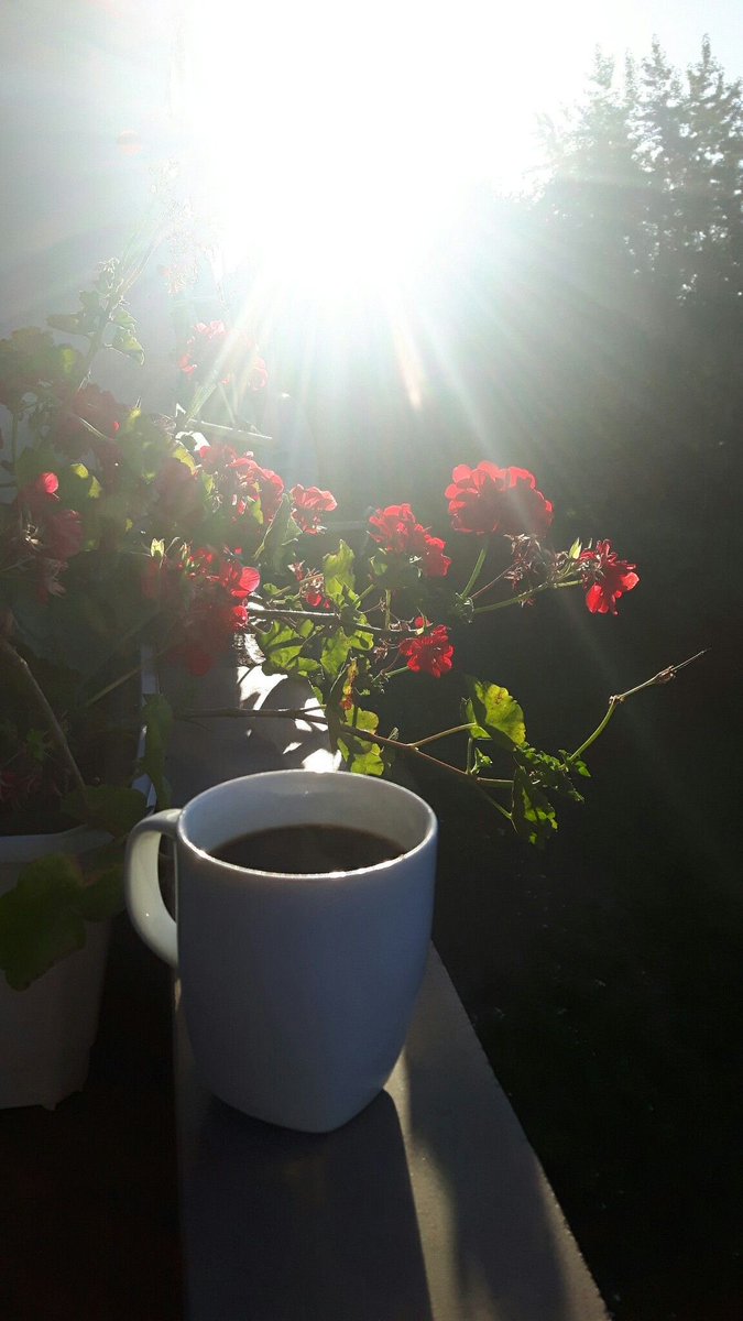 E.ALSUWAIDI♋️ tweet media