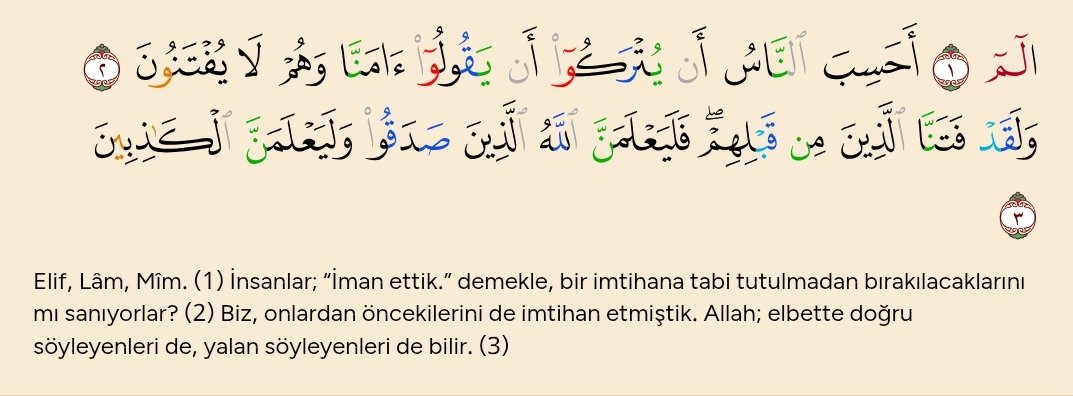 سَـيْـف tweet media