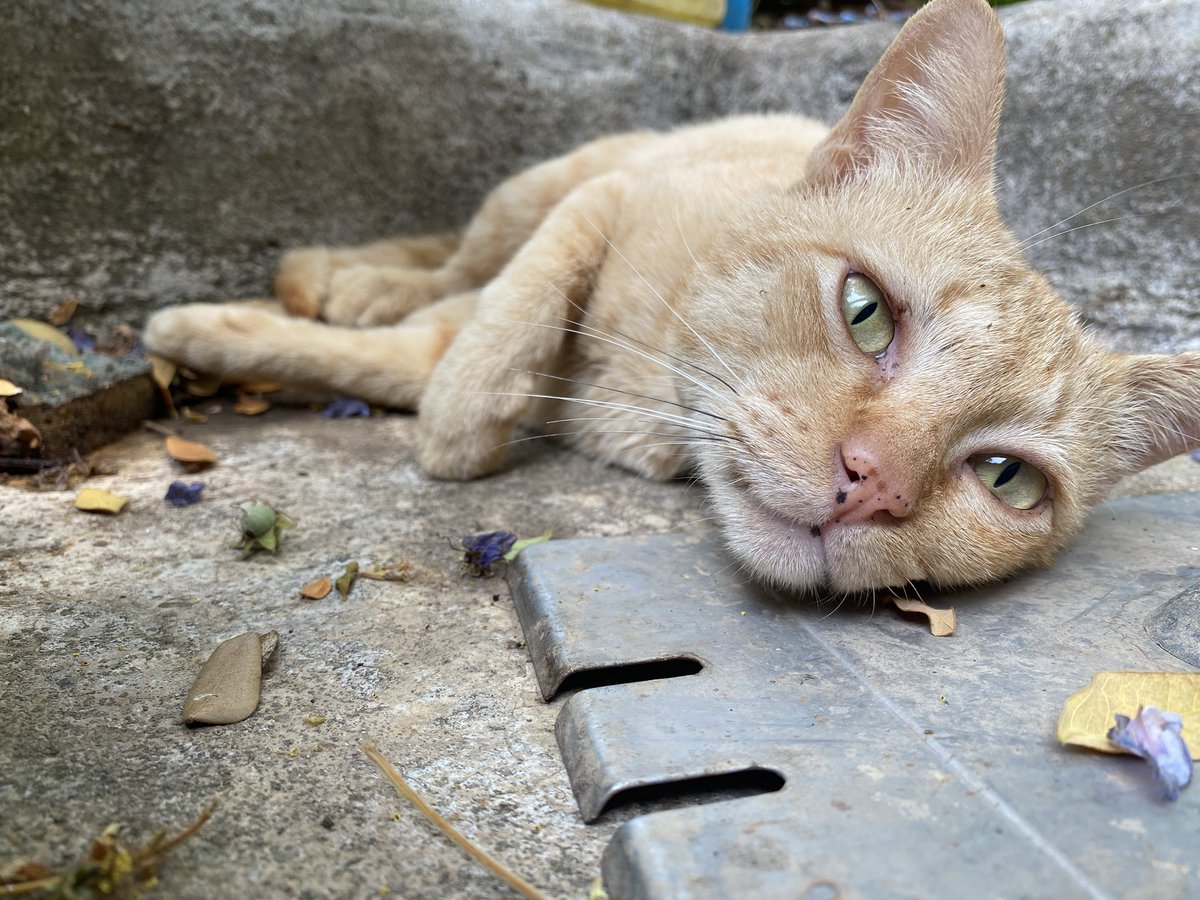 • I'm NoOne • 🐈‍⬛ tweet media