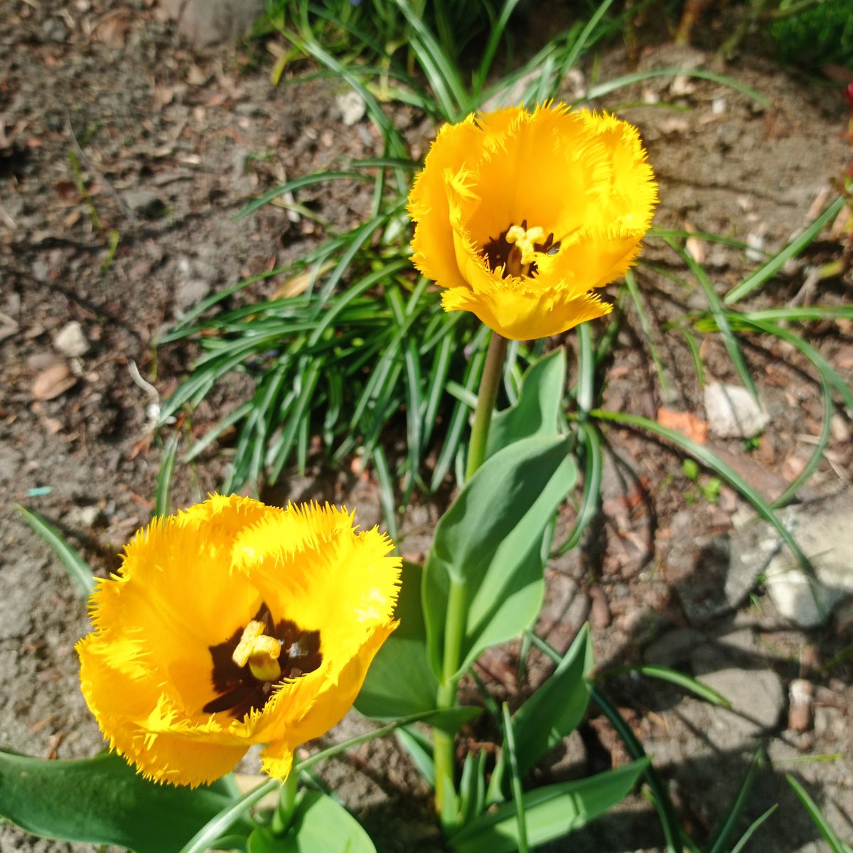 Jurek🇵🇱✌️ #MojPrezydent tweet media