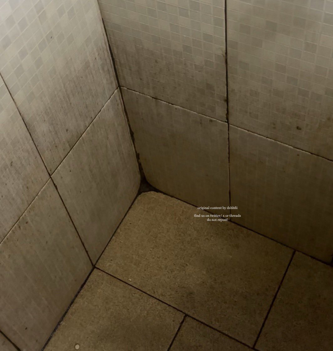 𝖓𝖎𝖓𝖚𝖙 🐯🍉🌷 tweet media