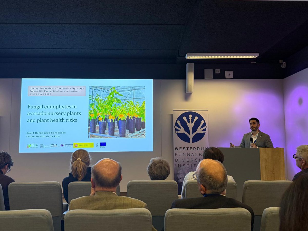 davidhhspain's tweet image. Honoured to present part of my PhD research at the Spring Symposium One Health Mycology at the @_Westerdijk_  🇳🇱

Grateful for the opportunity — great discussions, inspiring science &amp;amp; amazing people!

#PhD #Mycology #PlantHealth #Science #OneHealth