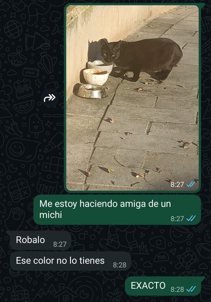 Ana_LaPatata tweet media