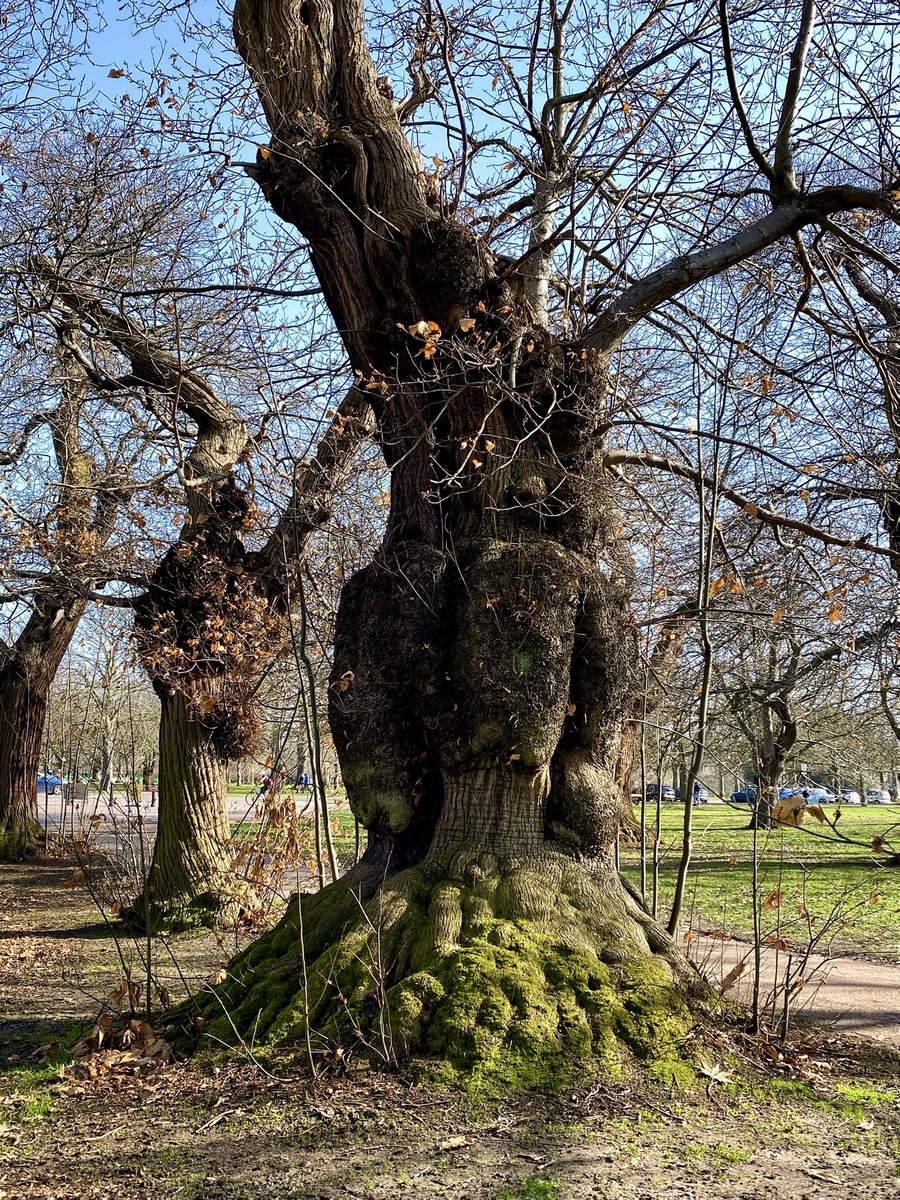 Maggie McWhirter tweet media