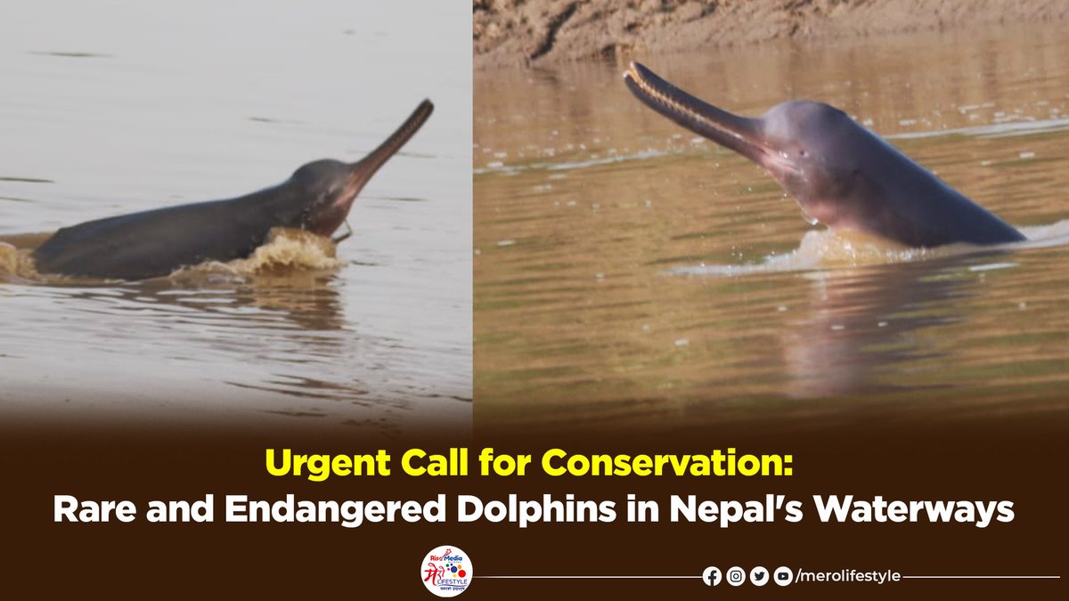 AirlineGuy tweet media