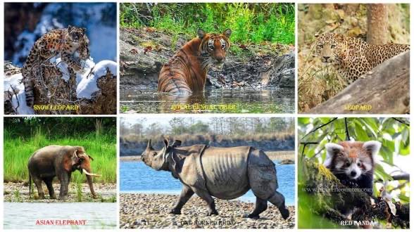 AirlineGuy tweet media