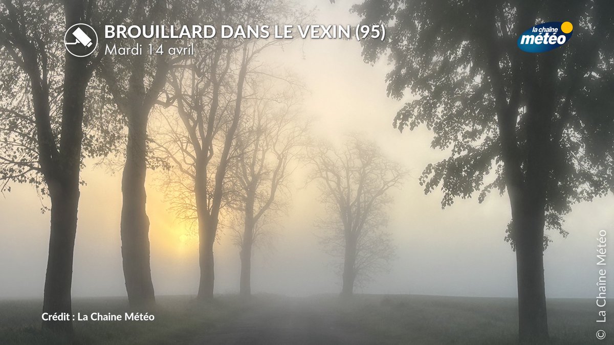 lachainemeteo's tweet image. 😶‍🌫️🌫️ Des #brouillards sont présents ce matin, dégradant la visibilité à parfois moins de 100 mètres. Soyez prudents sur les routes secondaires sous les nappes les plus denses. Ces brouillards vont rapidement se dissiper en cours de journée, laissant la place au #soleil.