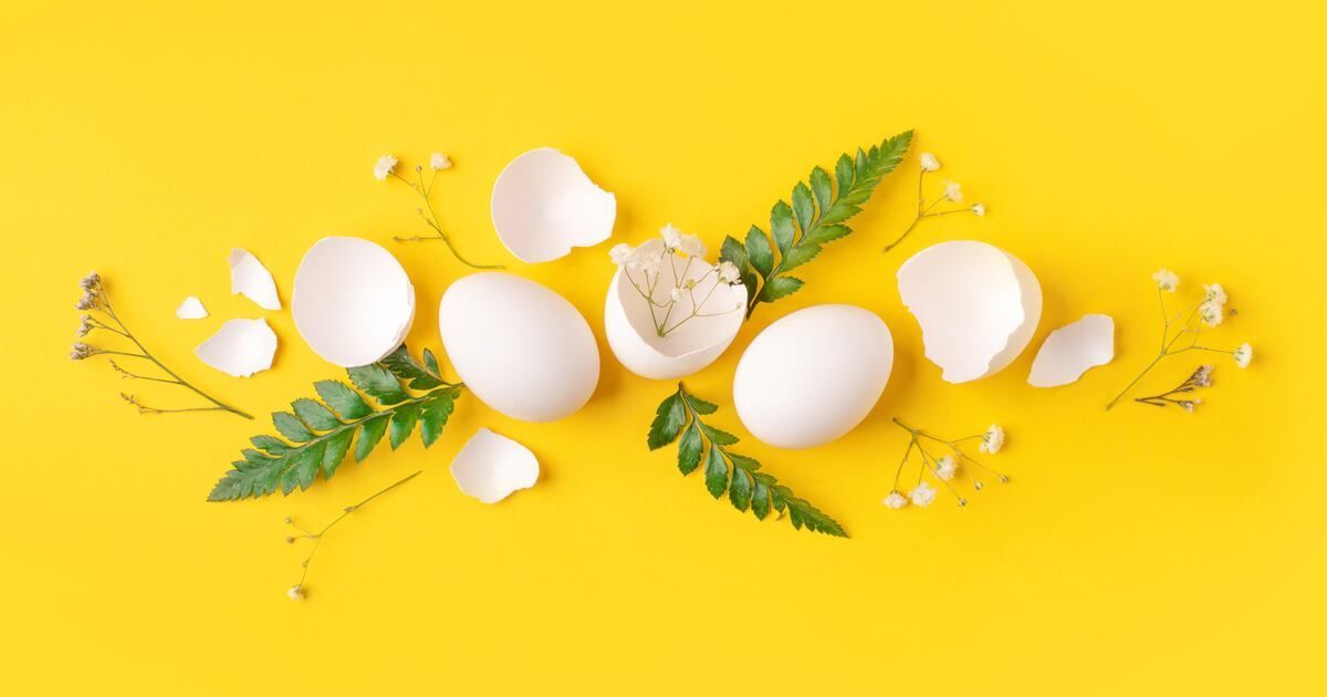 FoodNavAsia's tweet image. Egg-based collagen: The next beauty-from-within superstar? #eggs #eggshell #collagen #beauty #beautyfromwithin buff.ly/hirhLHH