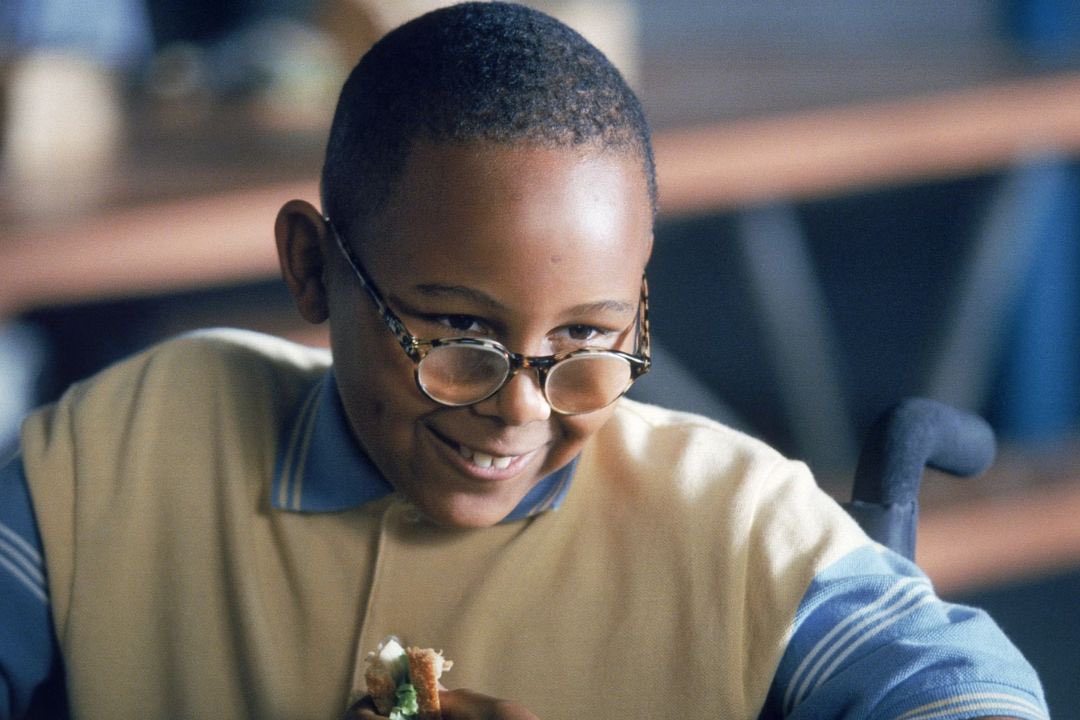 Daily Stevie tweet media