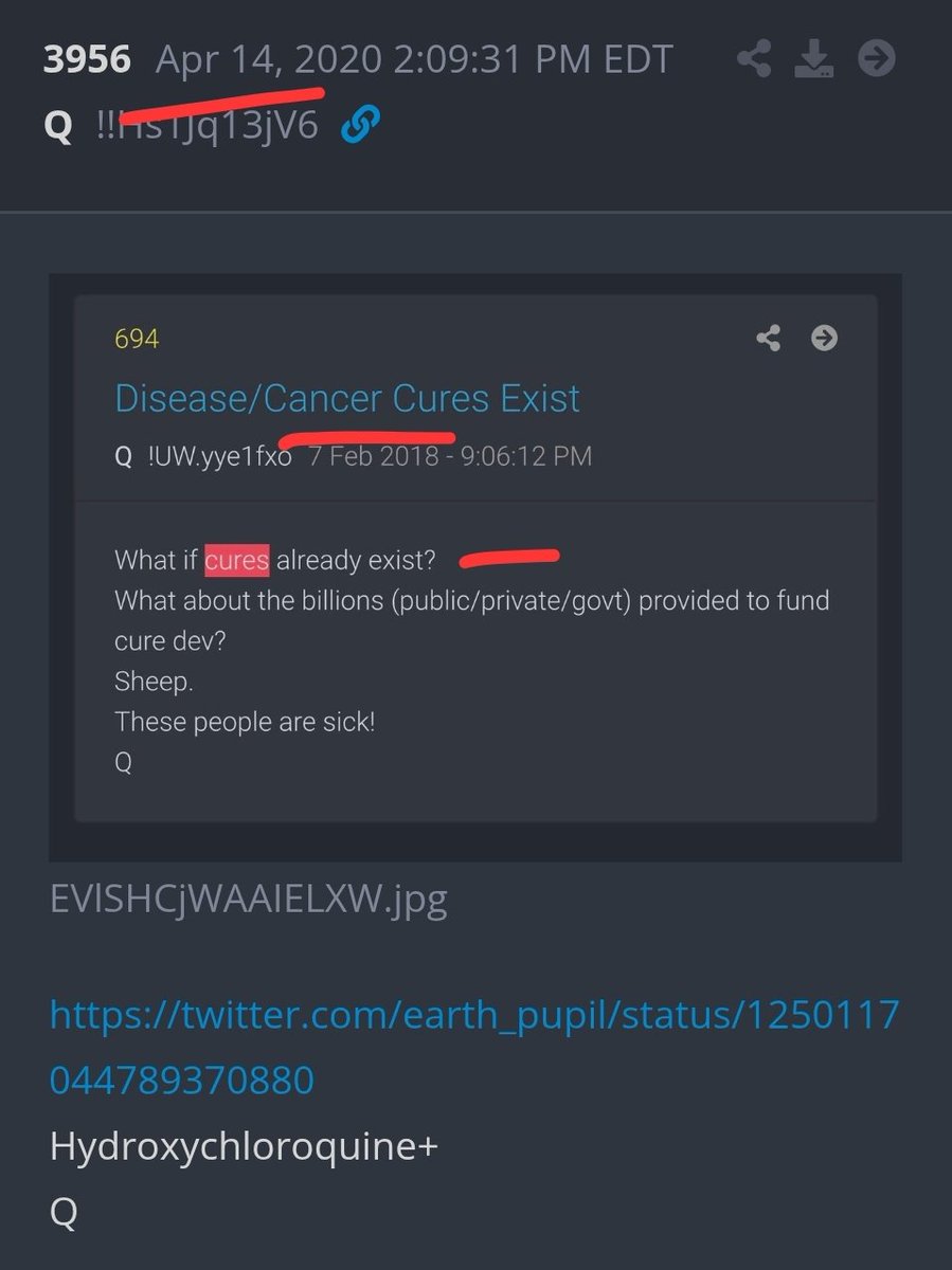 TraderGirlQ tweet media