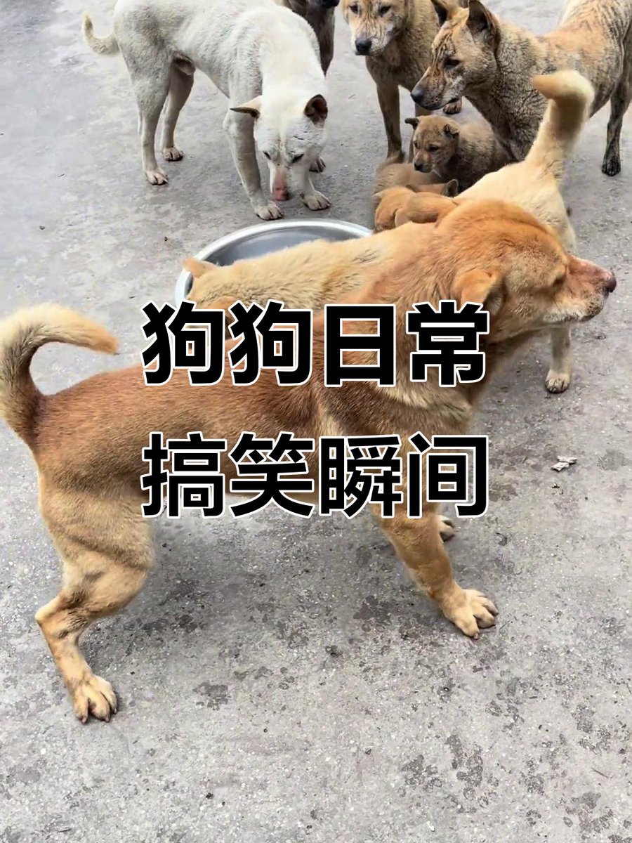 layali louna tweet media