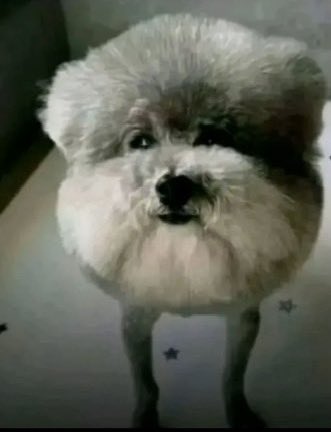 ‍ ‍ ᥫ᭡. ┊ ‍ 泊 明 ℜ𝐴𝐼𝑱𝑰𝑵 tweet media