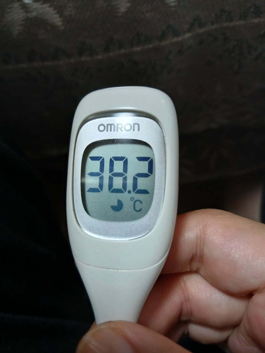 いねこ tweet media