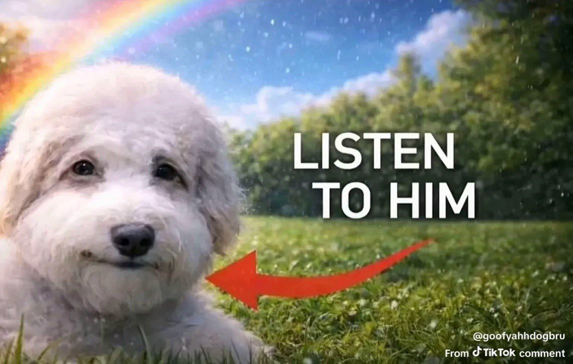 UltraFoidSlayerJewHaterNiggaNazi271 tweet media