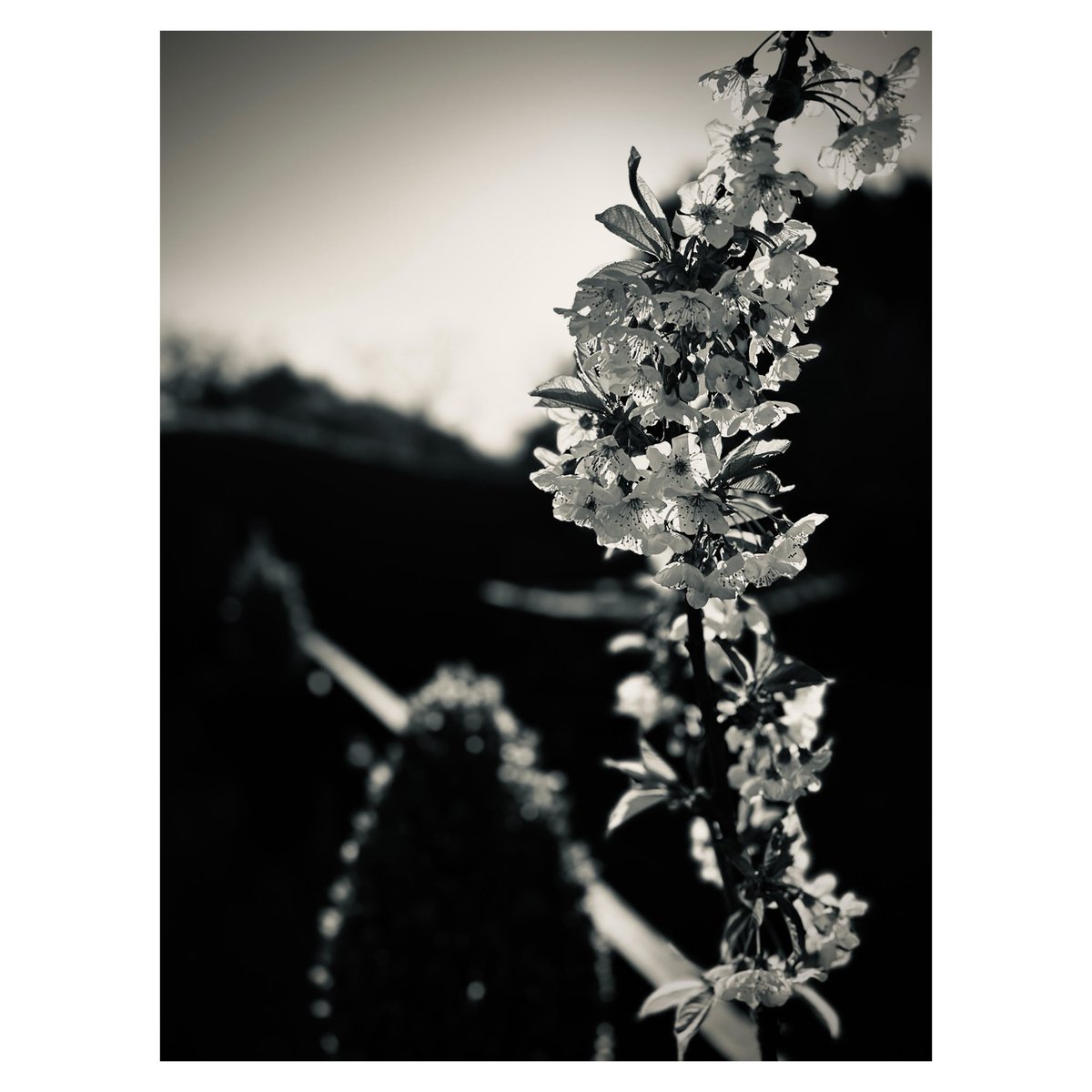 🎸🚴Ronnie Fletch🍻📸 tweet media