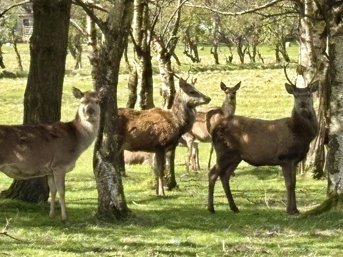 Stuart F Bendoris tweet media