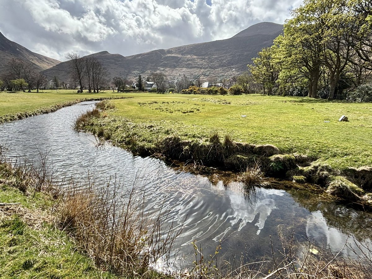 Stuart F Bendoris tweet media