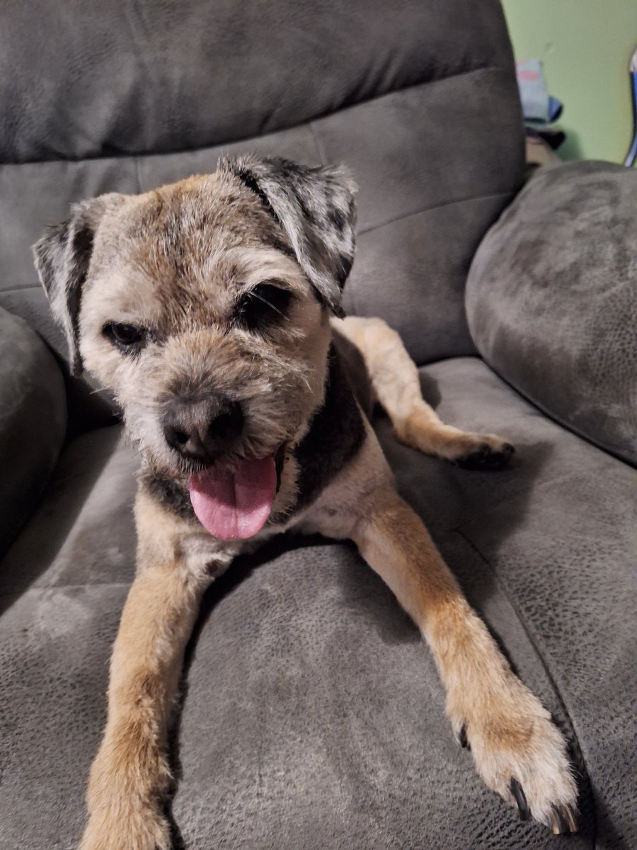 Dee (Mum to Bosie🌈 & Sir Takoda🌈) tweet media