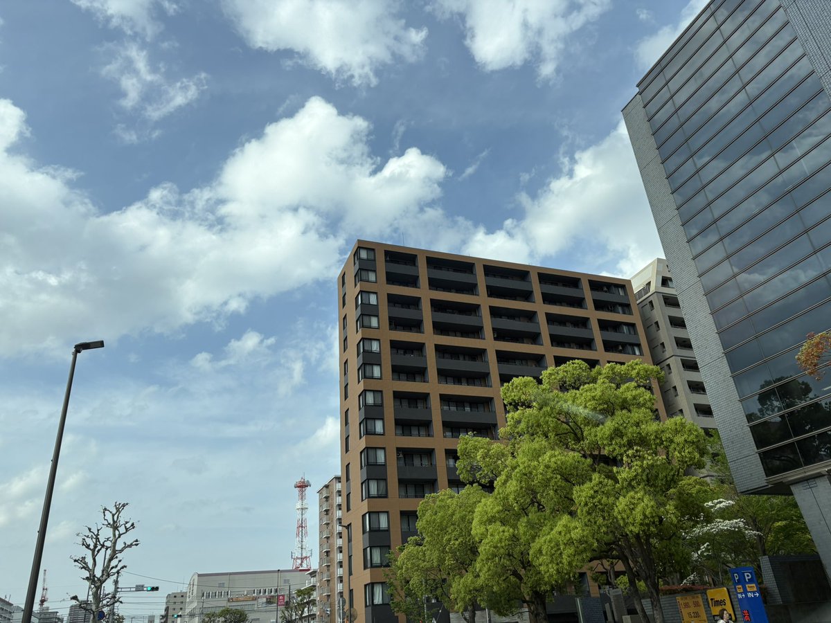 KOTOWEBjp's tweet photo. 多分ギリギ��江東区 https://t.co/dpyWxnbkw2