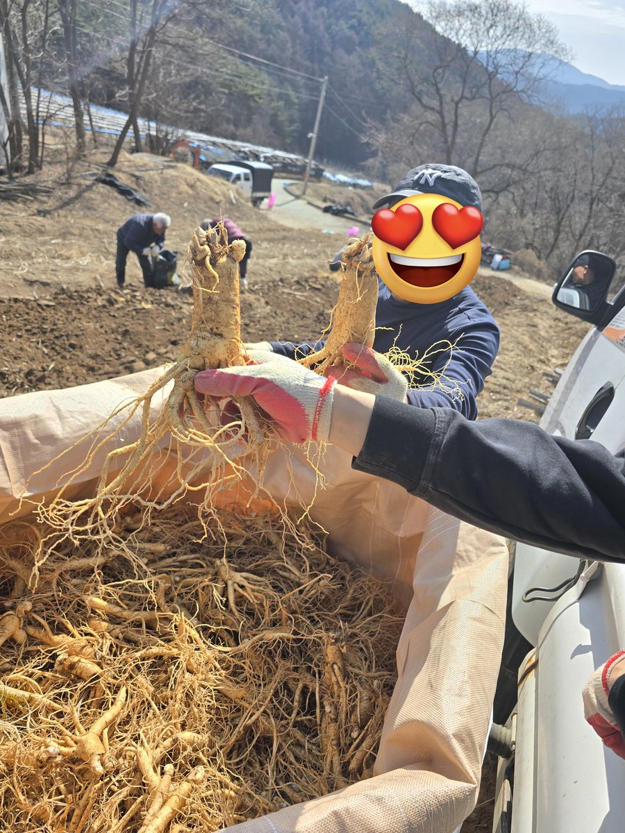 장코드 tweet media