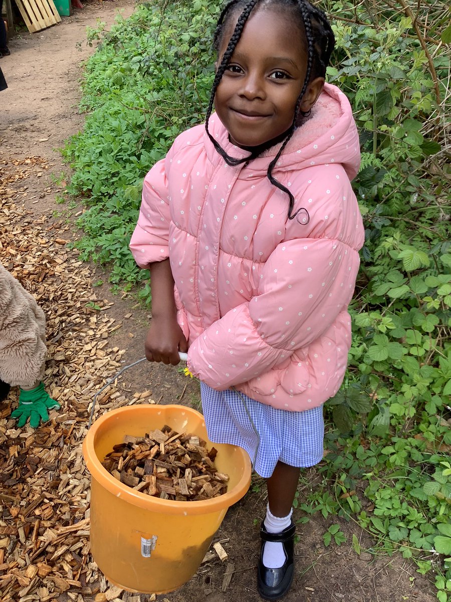AbbeyPrimary's tweet image. Working together as a team to spread bark chippings on the ground to keep our forest area safe and clean. #forestschool #Y1