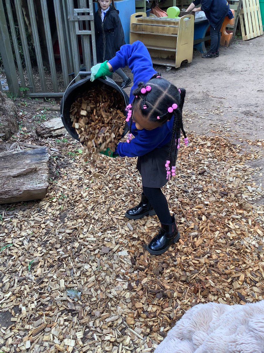 AbbeyPrimary's tweet image. Working together as a team to spread bark chippings on the ground to keep our forest area safe and clean. #forestschool #Y1
