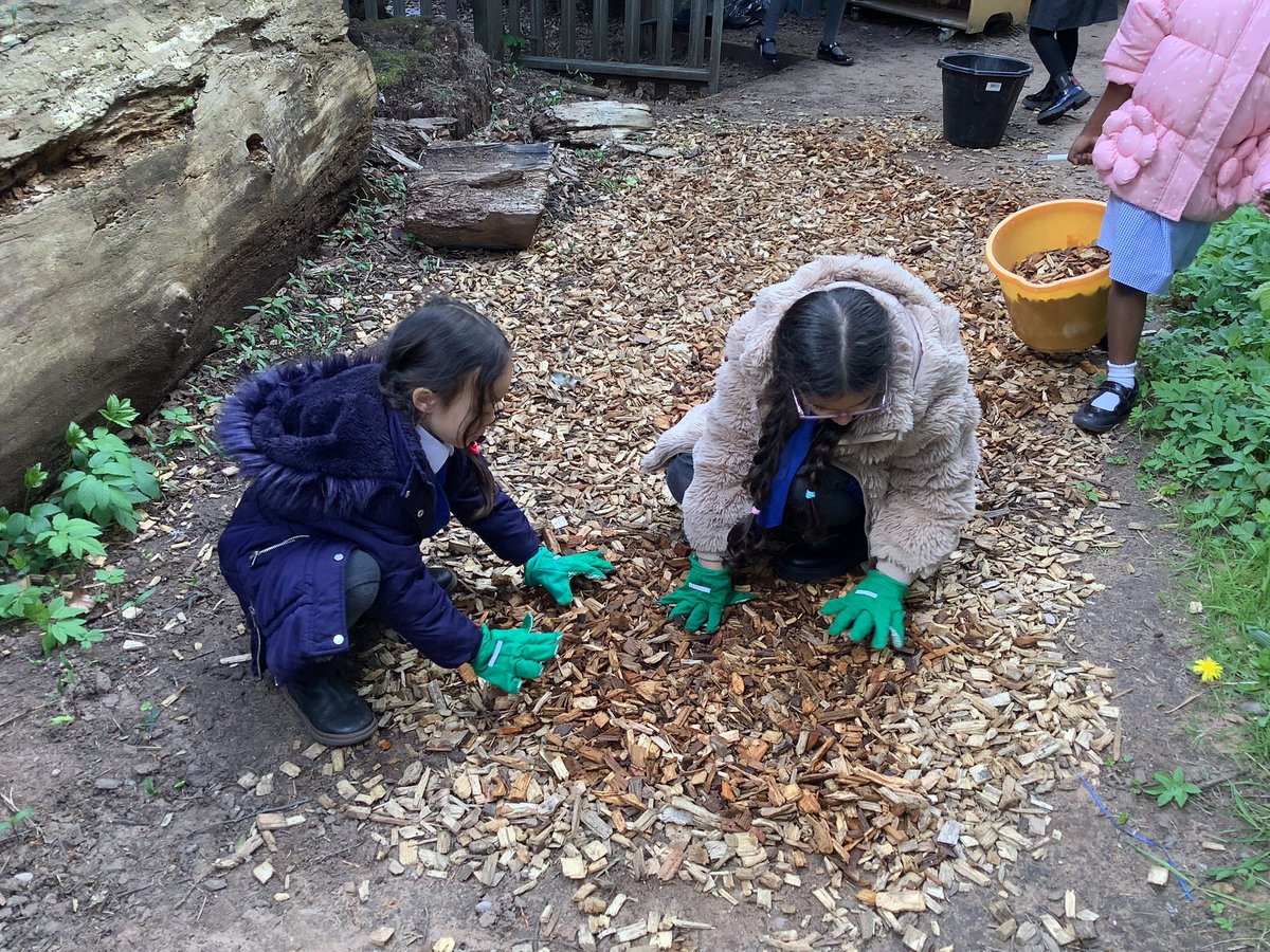 AbbeyPrimary's tweet image. Working together as a team to spread bark chippings on the ground to keep our forest area safe and clean. #forestschool #Y1