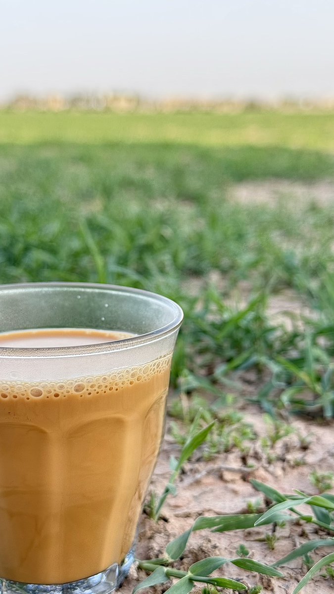 أسمَـــا ☁️🕊️ tweet media