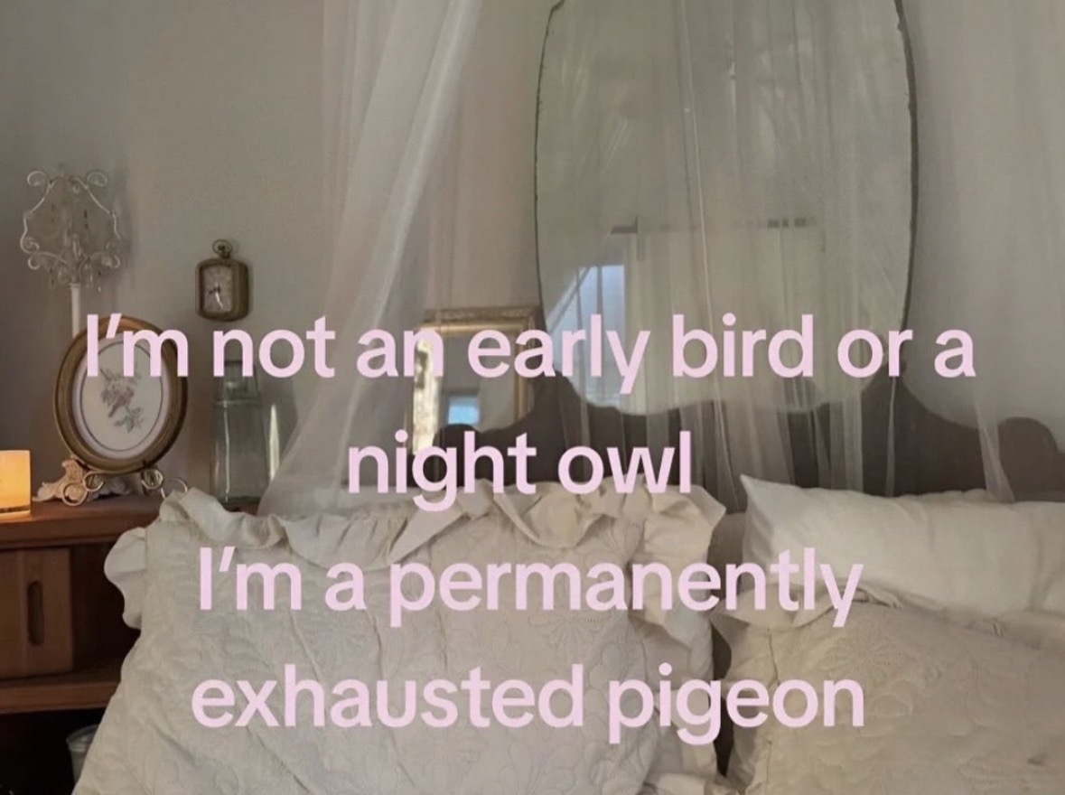 Respectful Memes tweet media