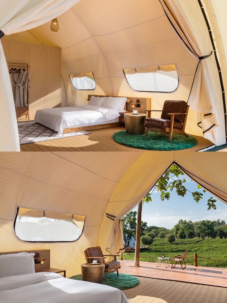 Аня Стародубцева tweet media