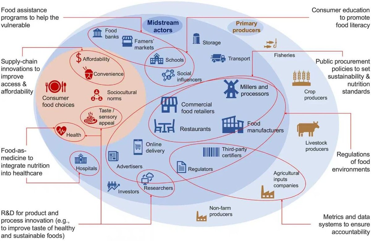 CQU1929's tweet image. A #CQU team has published a landmark review in Science! 🌍 The study tackles the global #dietary crisis, revealing how #food environments shape our choices and proposing 7 key interventions to build a more sustainable future for all. 🌱
Read more: science.org/doi/10.1126/sc…