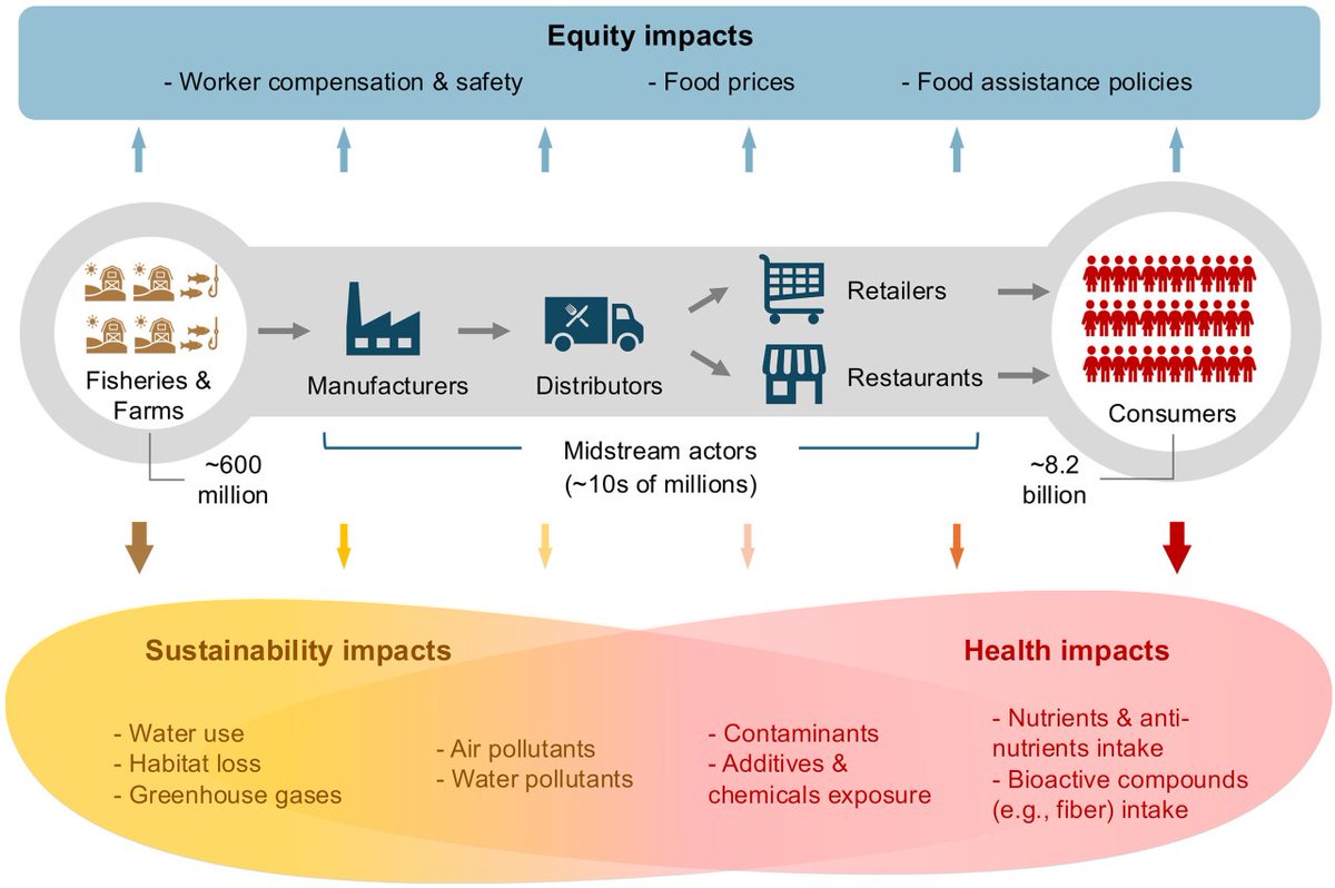 CQU1929's tweet image. A #CQU team has published a landmark review in Science! 🌍 The study tackles the global #dietary crisis, revealing how #food environments shape our choices and proposing 7 key interventions to build a more sustainable future for all. 🌱
Read more: science.org/doi/10.1126/sc…