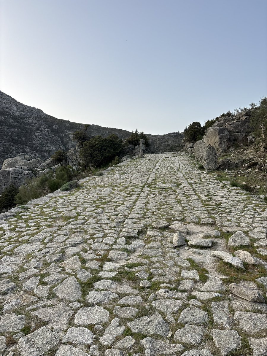 David Ortega tweet media