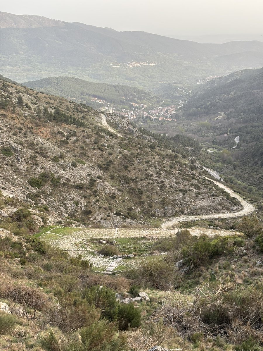 David Ortega tweet media