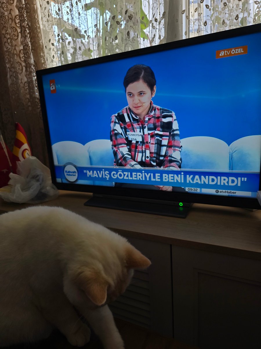 le malinche tweet media