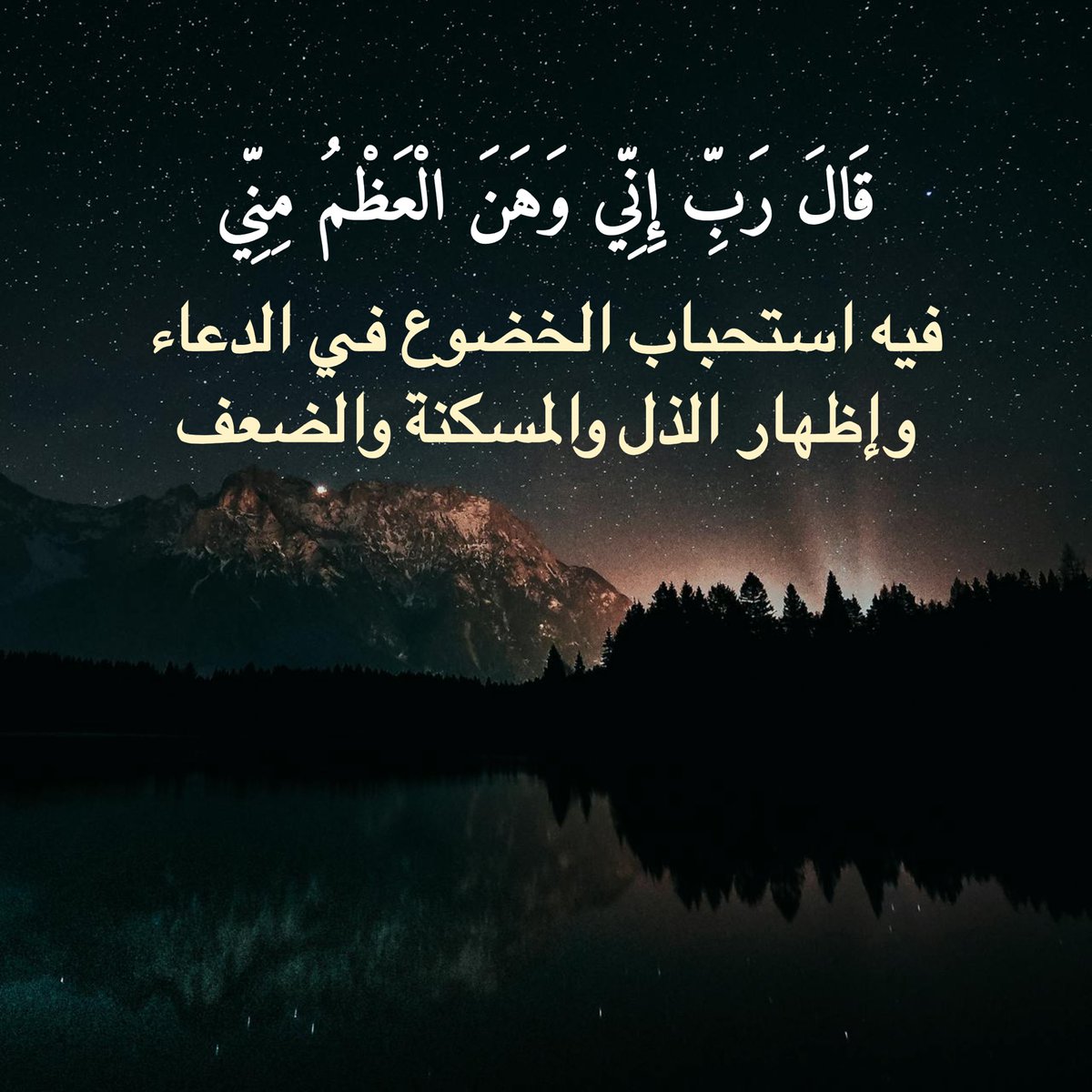 فائدة يومية tweet media
