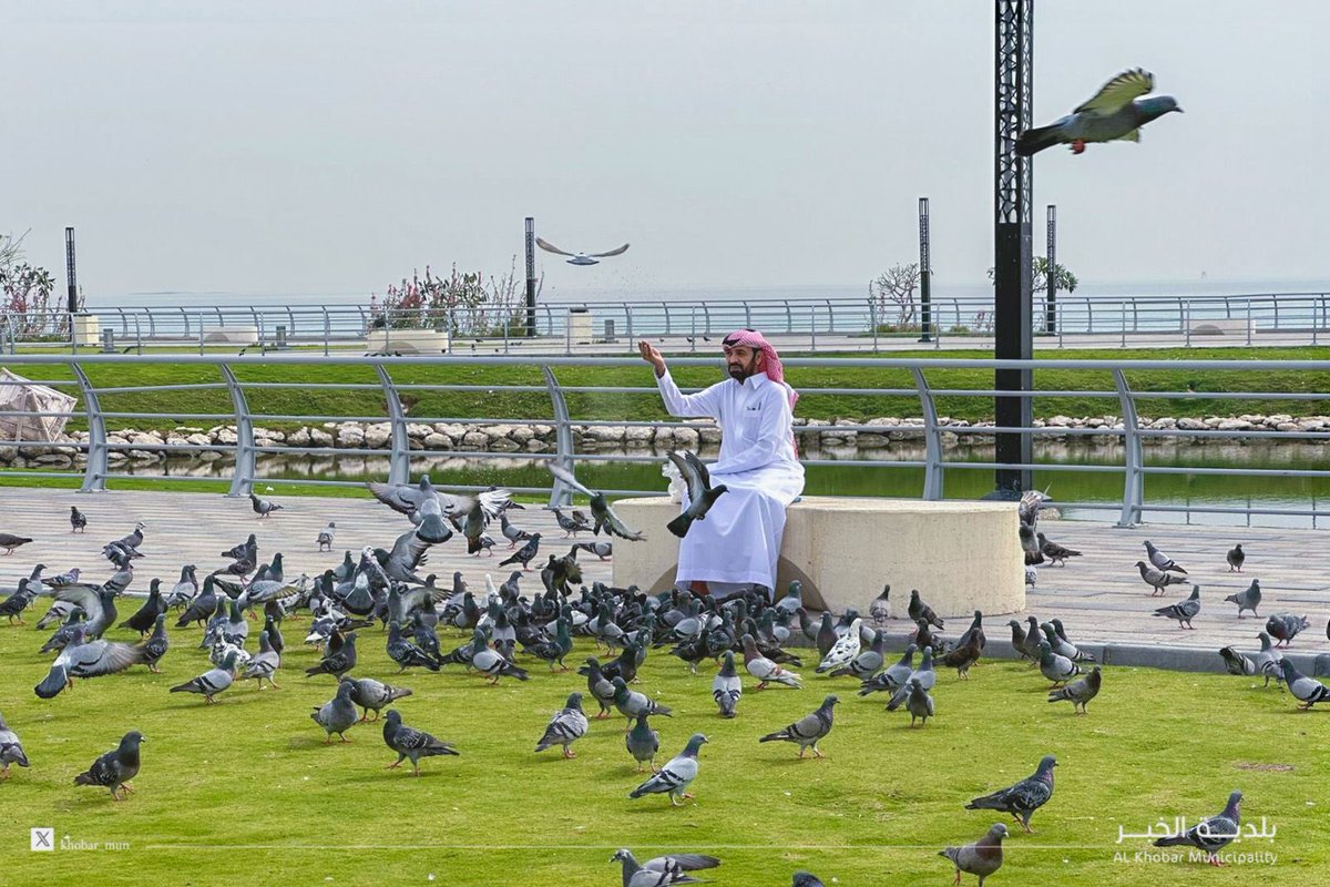#بلدية_الخبر 

صباحات #الخبر