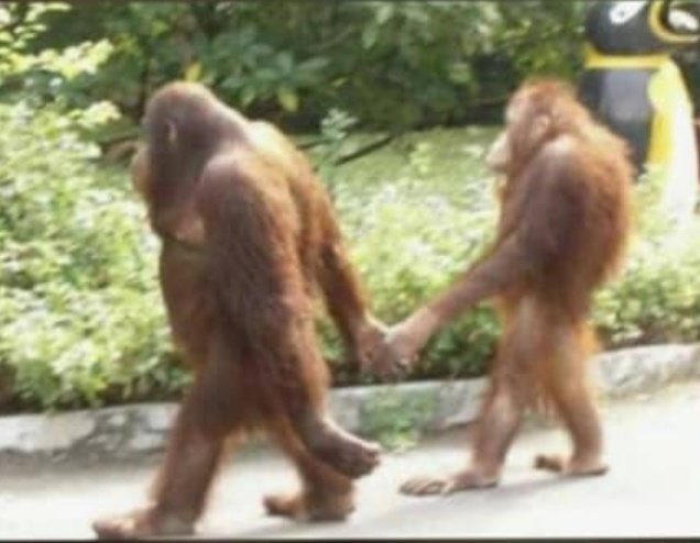 🥊𝐁𝐨𝐝𝐲 𝐆𝐮𝐚𝐫𝐝 Okafor tweet media