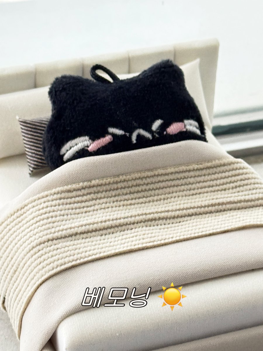 YGBABYMONSTER_'s tweet image. #MONSTIEZ ! 오늘도 🦋 잘 🐼 보냈지? 🐈‍⬛

#BABYMONSTER #3rdMINIALBUM #춤 #CHOOM #YG