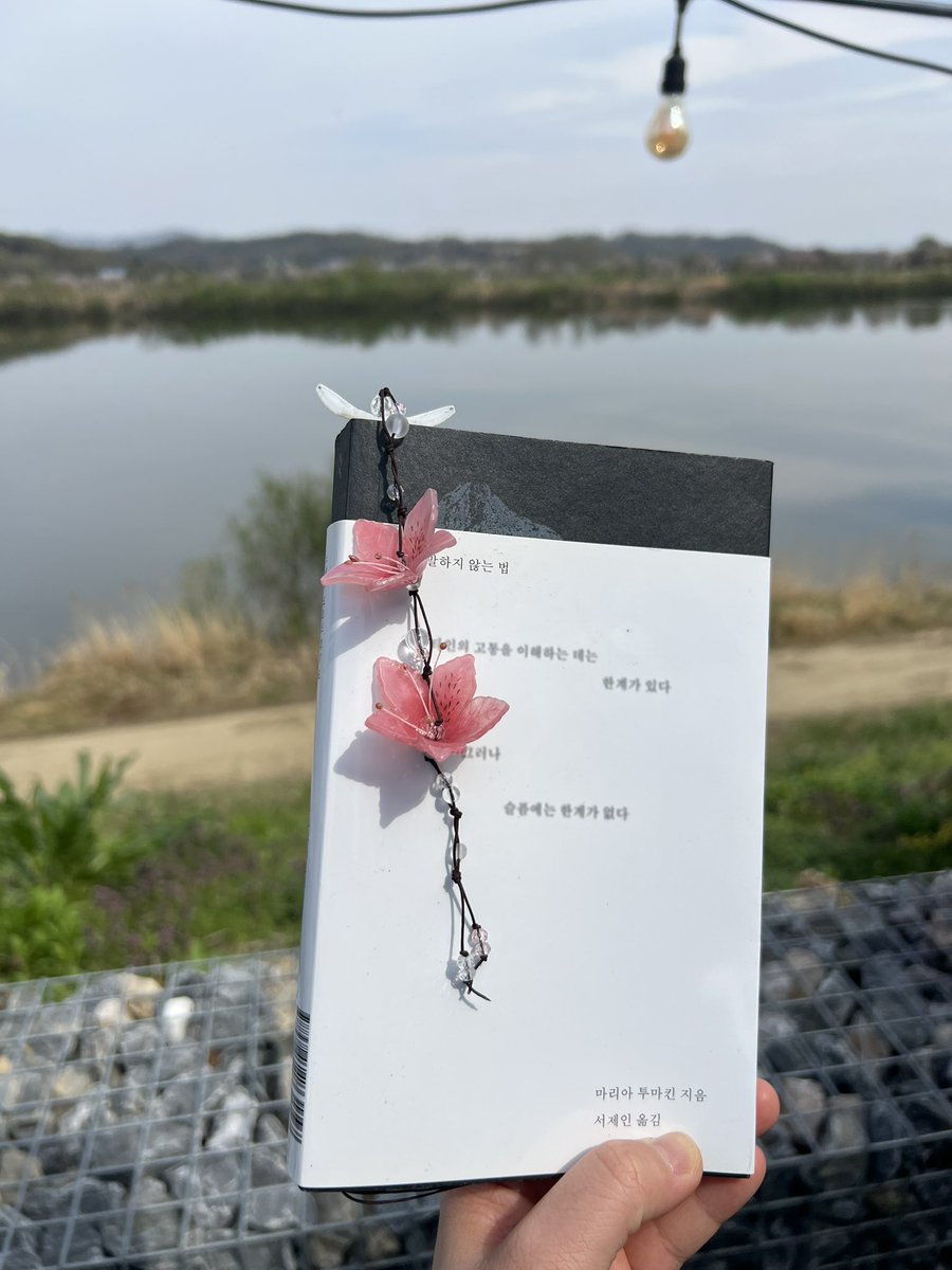 안 tweet media