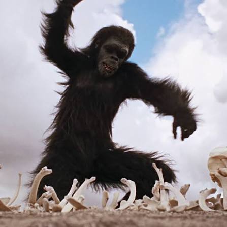 Tomáš Jílek tweet media