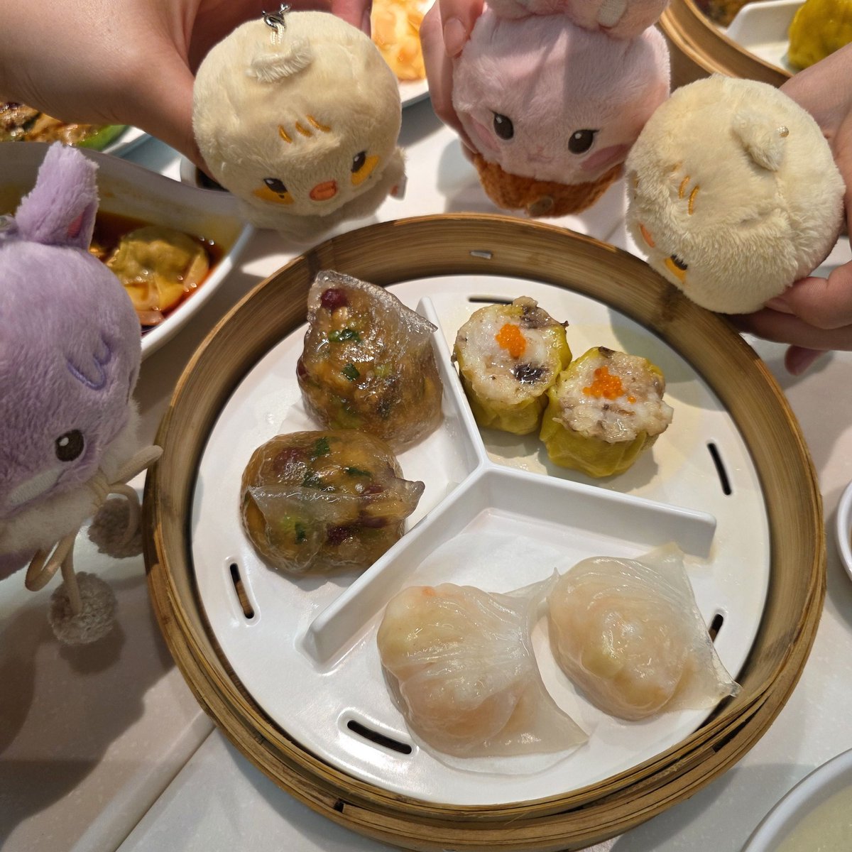 Mogen71's tweet photo. 잊지못해 마카오....🤍💜 웃느라 배아팠던🤣🤣 그만큼 재미있었던 여행~ 또또 놀러가쟈~~ https://t.co/NTpghjAKNp