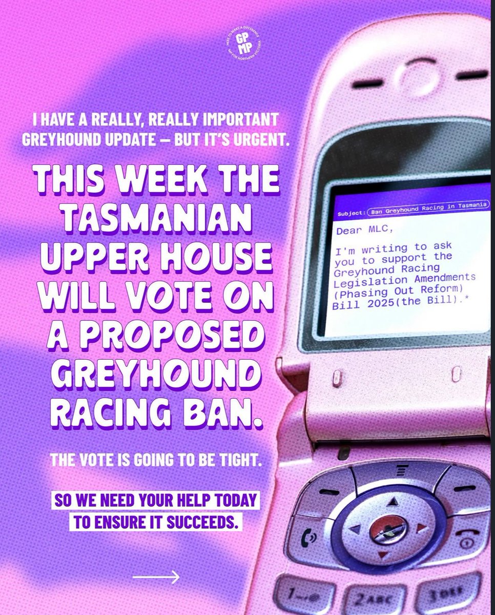 animaljusticeAU's tweet photo. TASSIE UPPER HOUSE TO VOTE ON GREYHOUND BAN
Georgie Purcell MP: "Here’s how you can help end greyhound racing in Tasmania."
READ MORE 👇
#Tasmania #Politas #AusPol #VicPol #SpringSt #AusPol26 #AusPol2026 #Animals #Dogs #Greyhounds #Victoria #AnimalRescue #BringBacktheBan #GreyhoundRacing