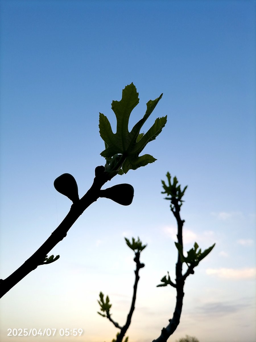 Lena Lutterbeck tweet media