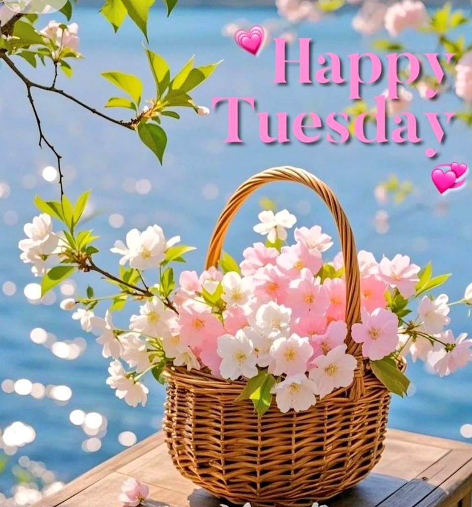 ᡣ𐭩emiᡣ𐭩👵🏻二型💉❤️消える事が😳悪しからず🙇すべてに感謝🙏💕✨ tweet media